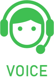 VOICE